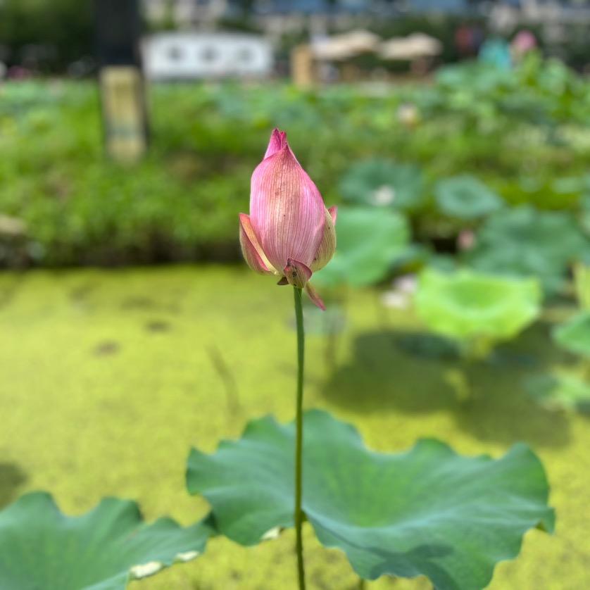 我改名字了