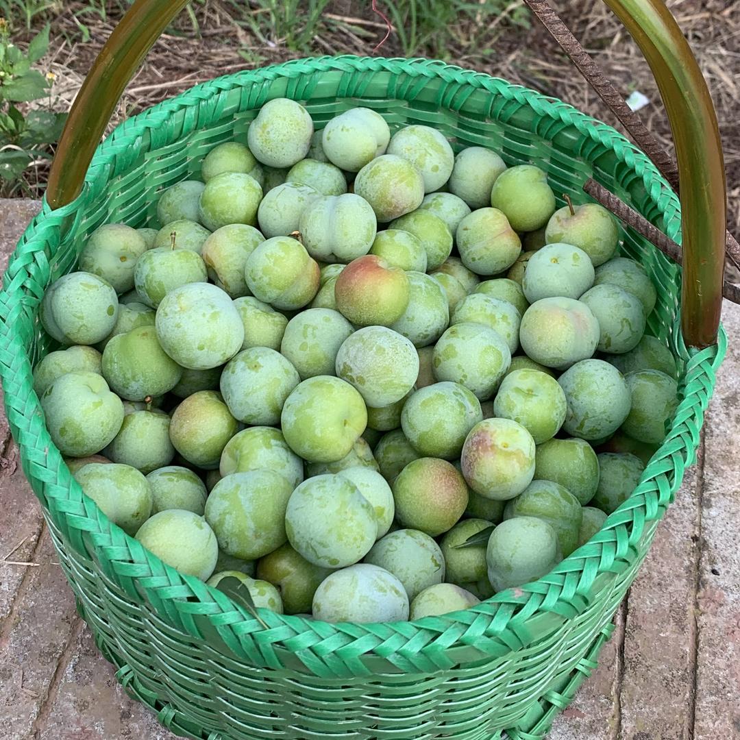 徐小姐的鲜果店