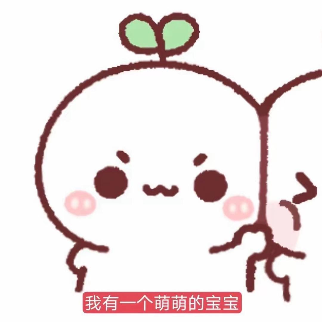 我愿抉择无悔