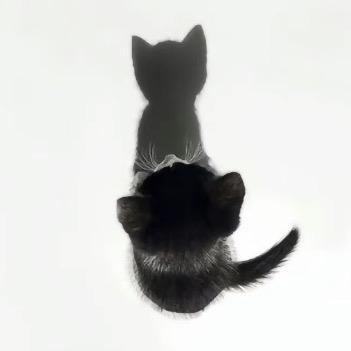 Eeeee