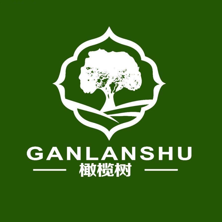KTV设计  橄榄树
