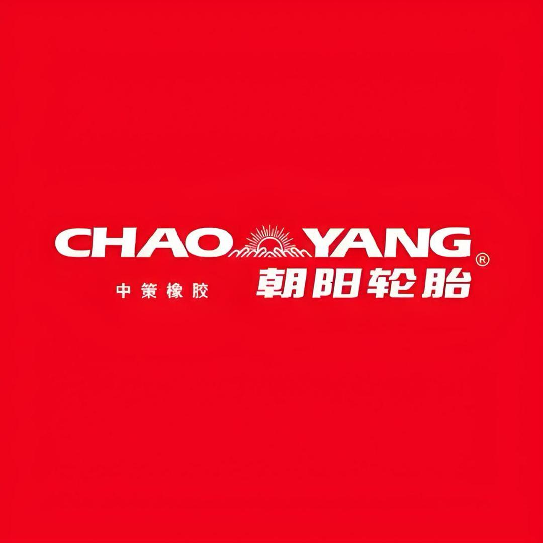 朝阳山东安驰运动配件专卖店