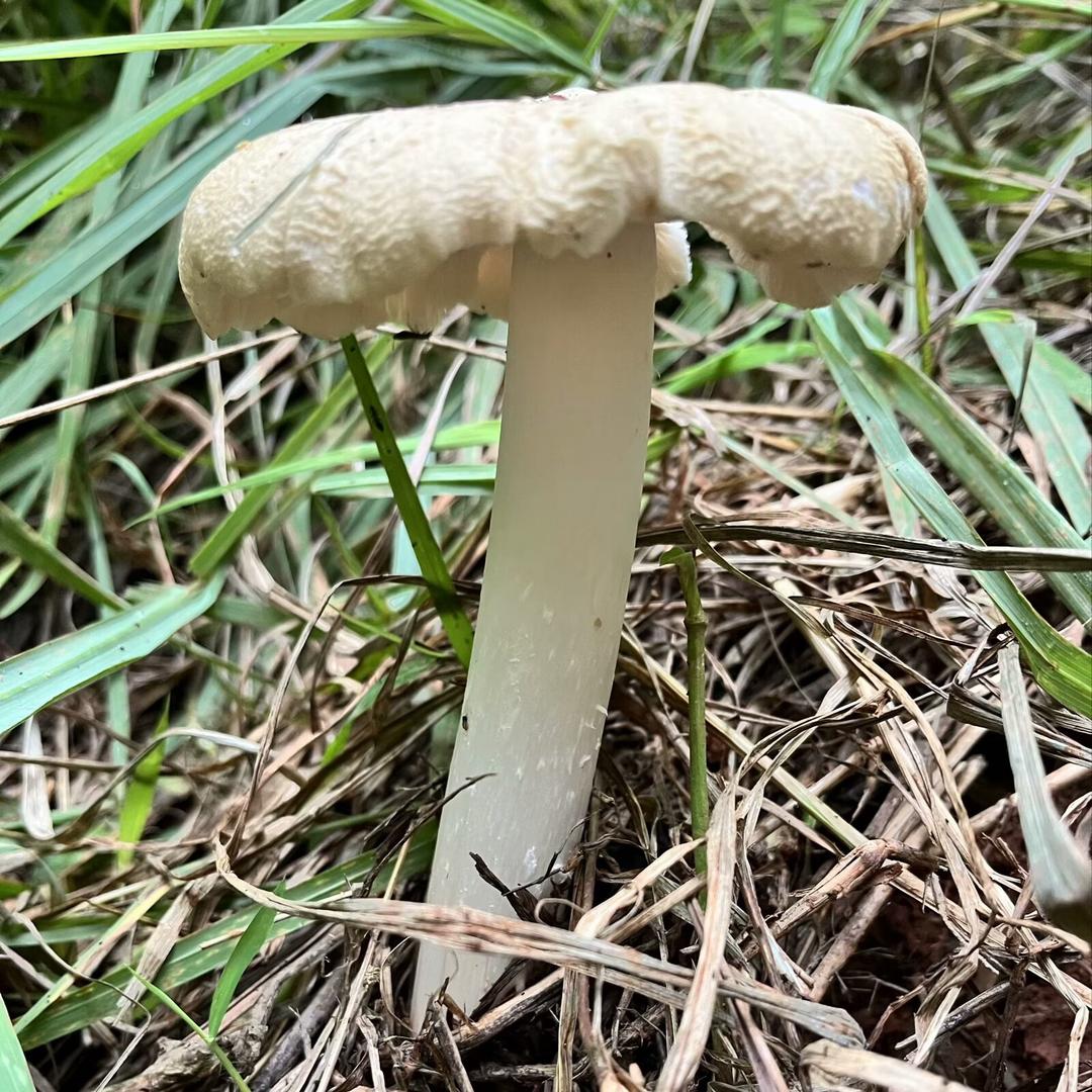 自己的过来人