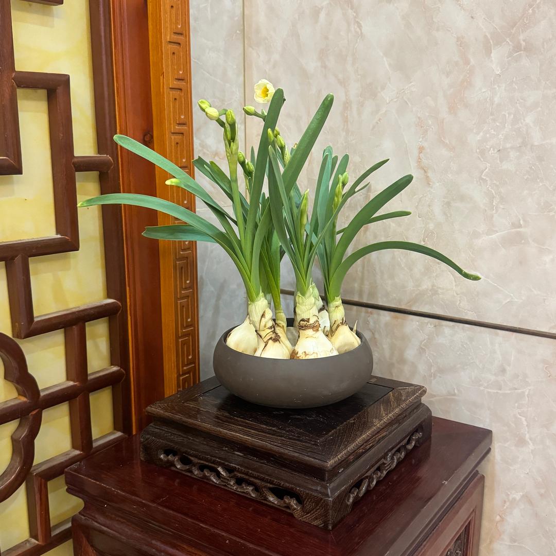 麻辣鱼