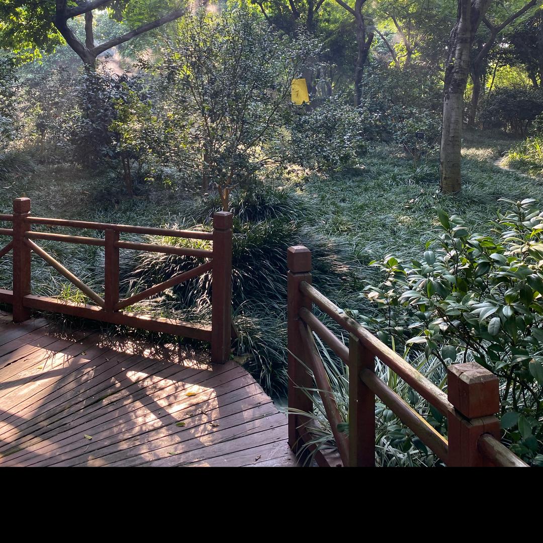 闽南大小姐