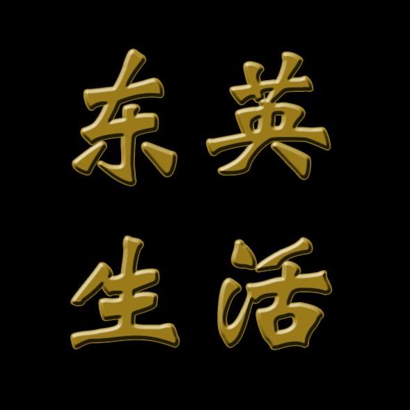 东英生活家居