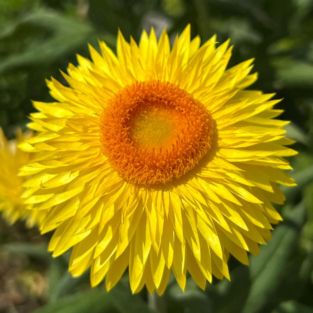 A🌻 Mom's「晗，悦」₅₂₀。