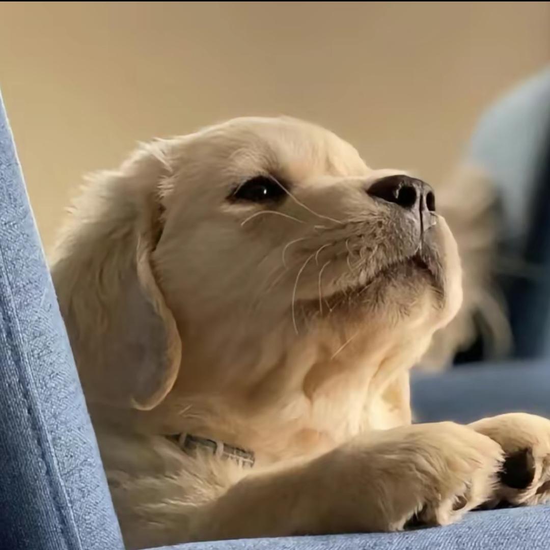 亠卜竹（见过解解两次版）