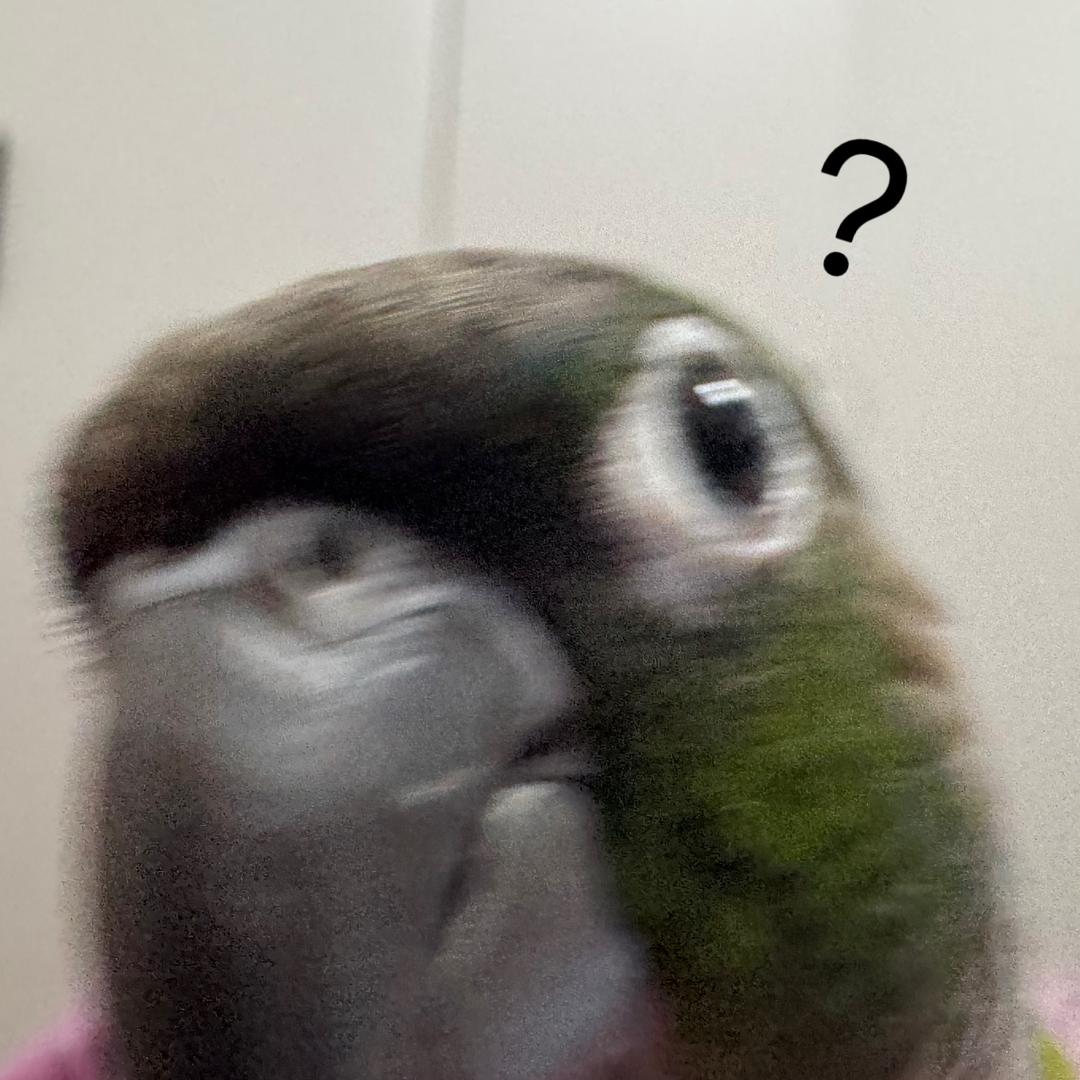 芒郭儿