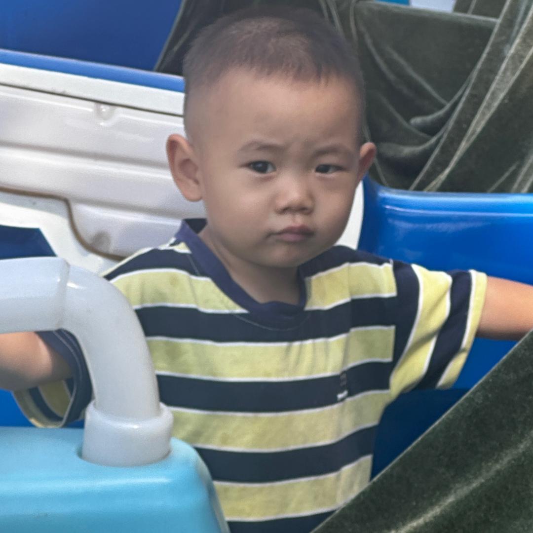 一只小硕宝