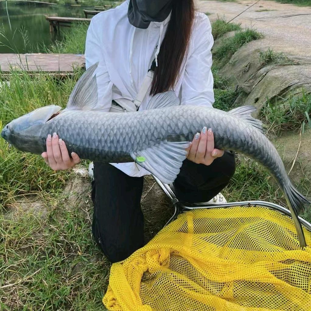 爱吃鱼的女孩