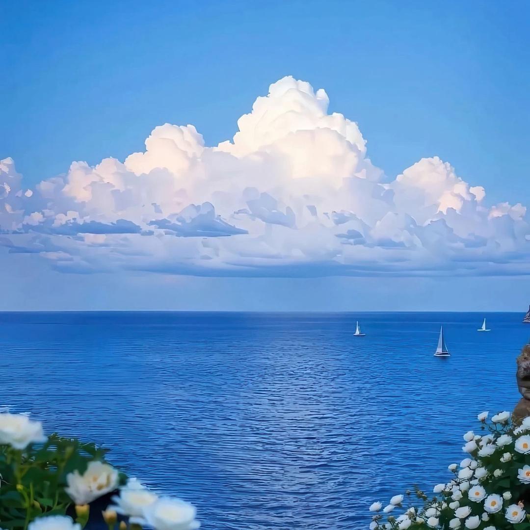 汤姆张观世界-TMZ