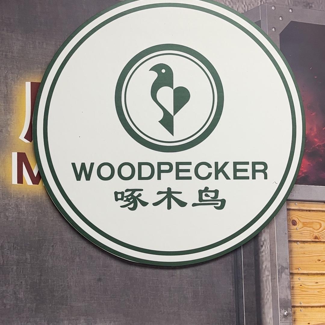 啄木鸟才诺鞋店