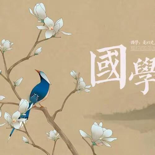 朝阳区状巧百货店（个体工商户）