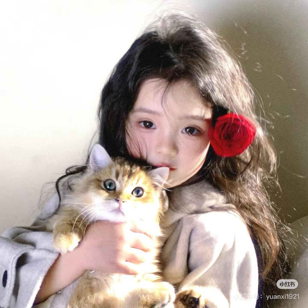 嗷喵喵喵🐾🐾ᓚ