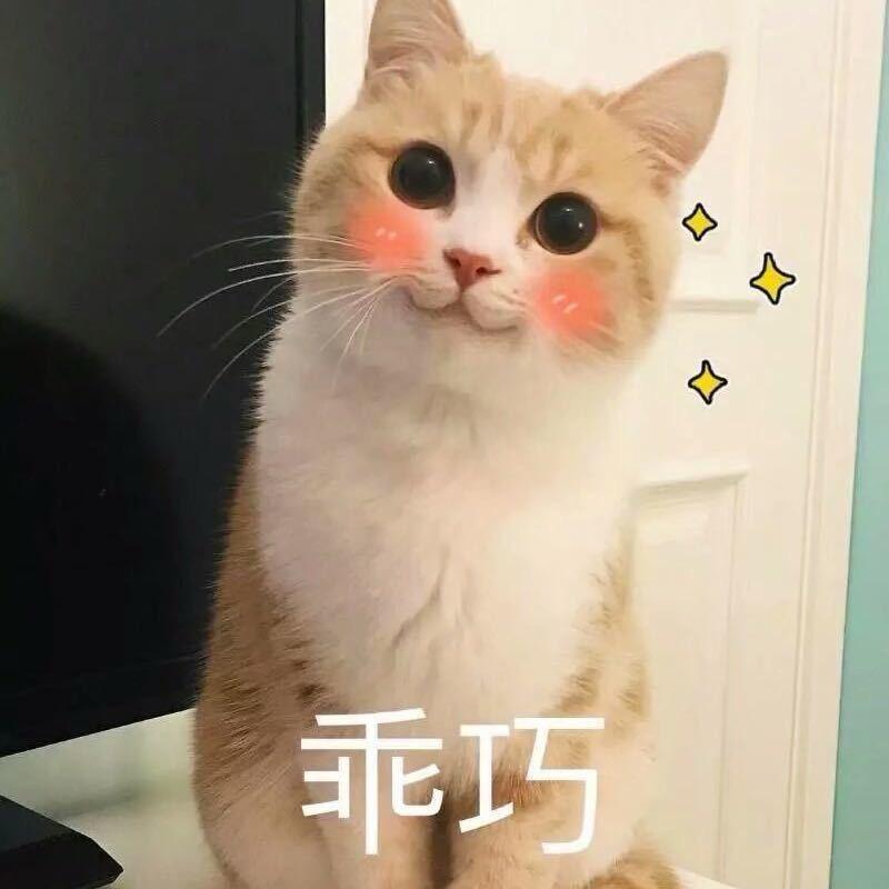 喵喵喵喵喵喵子头像
