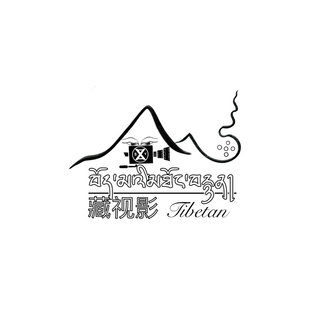 藏视影