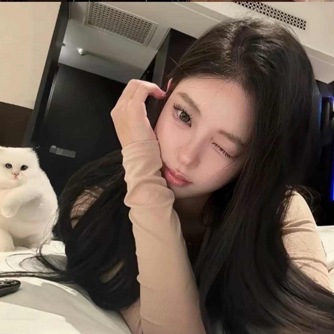 刺猬.