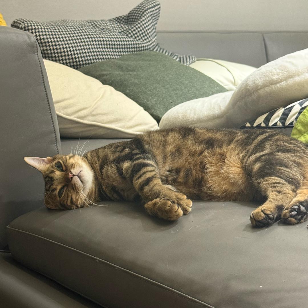 zzz。