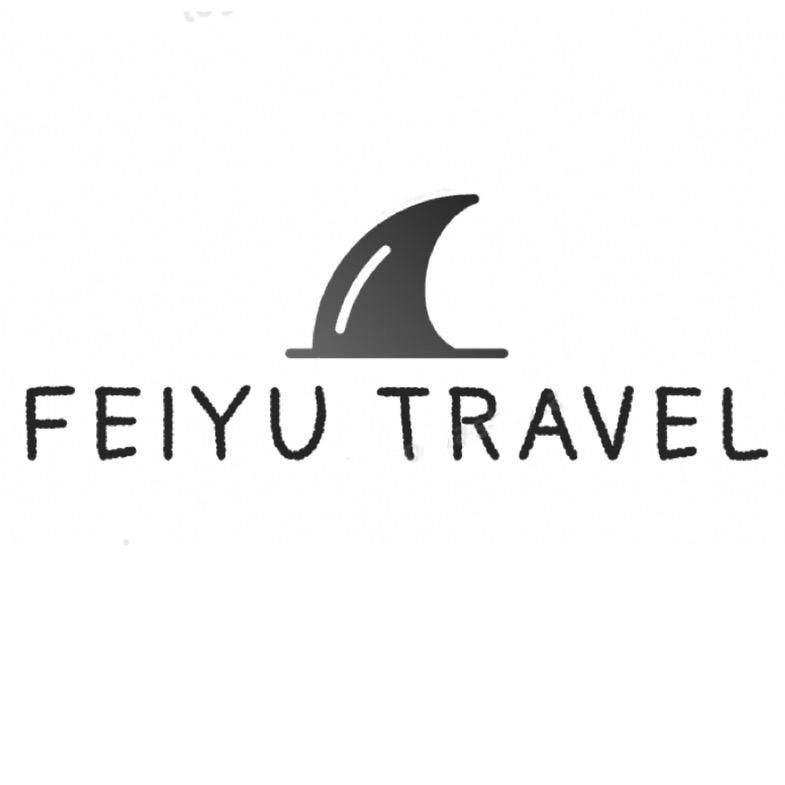 飞鱼国际旅行社