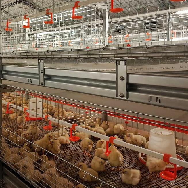 养殖设备厂家直销