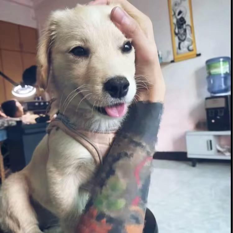 相逢何必曾相识·