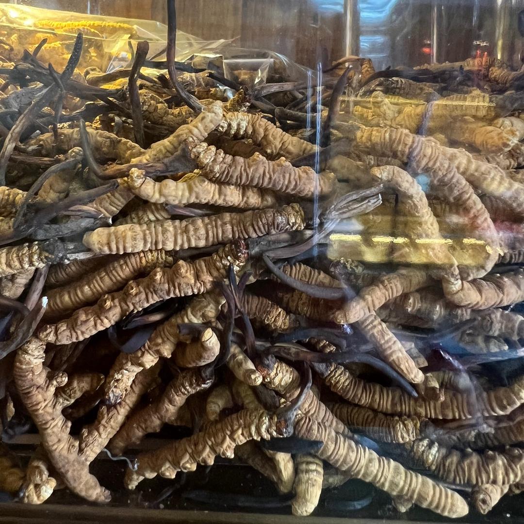 毗乐扎毗乐专卖店