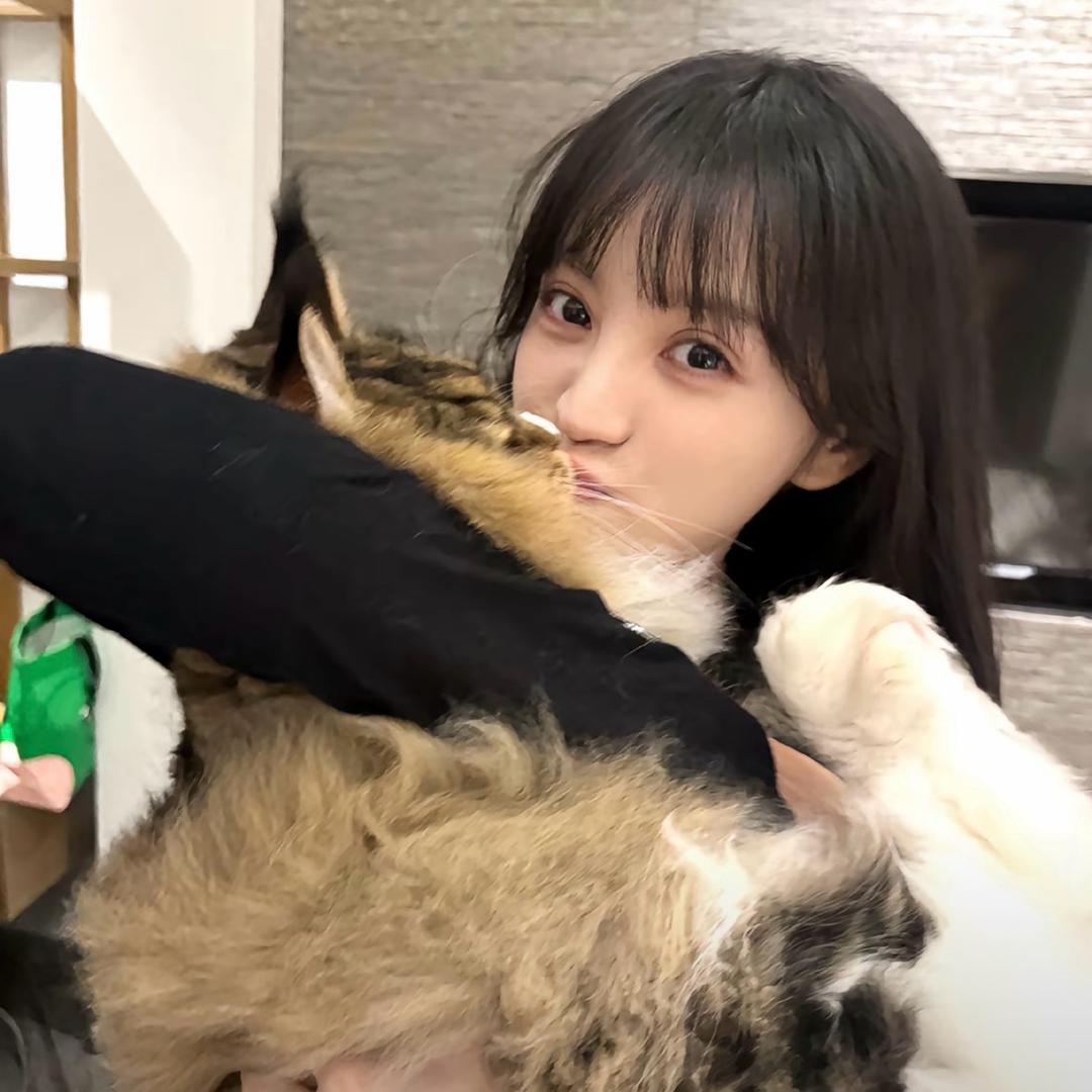 陈伟霆.