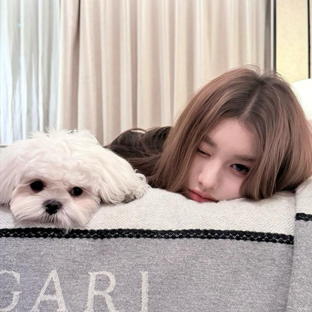 琪
