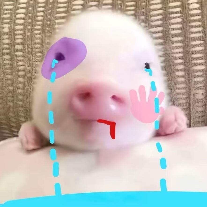 所有人都在害我