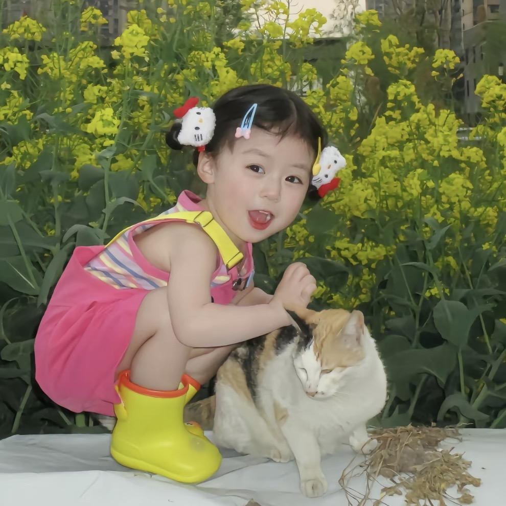 小马o