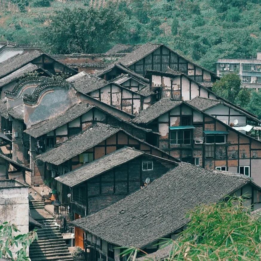 泽爸的日常