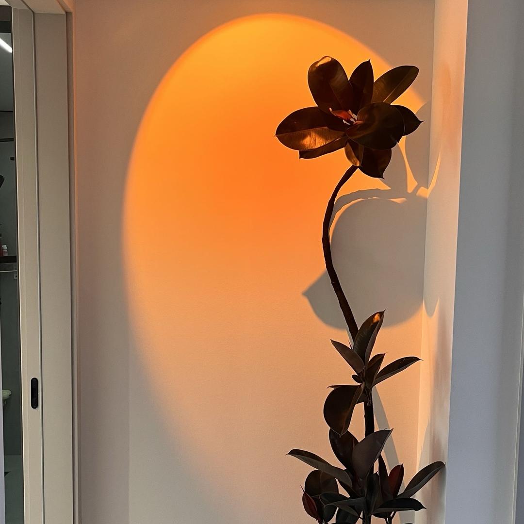 湛源绿植花场园艺