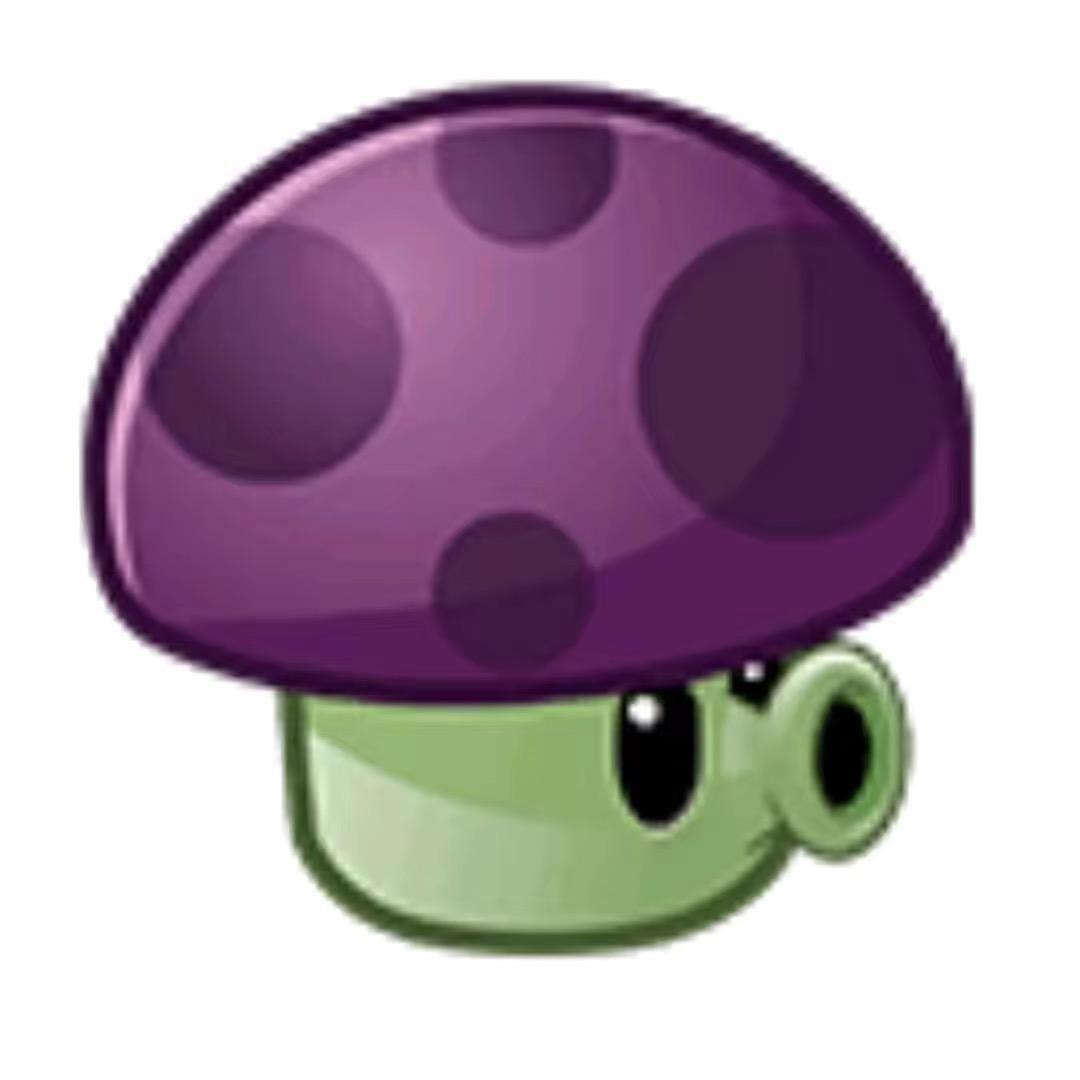 不要钱的小喷菇