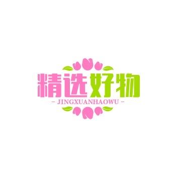 爱生活的小海豚