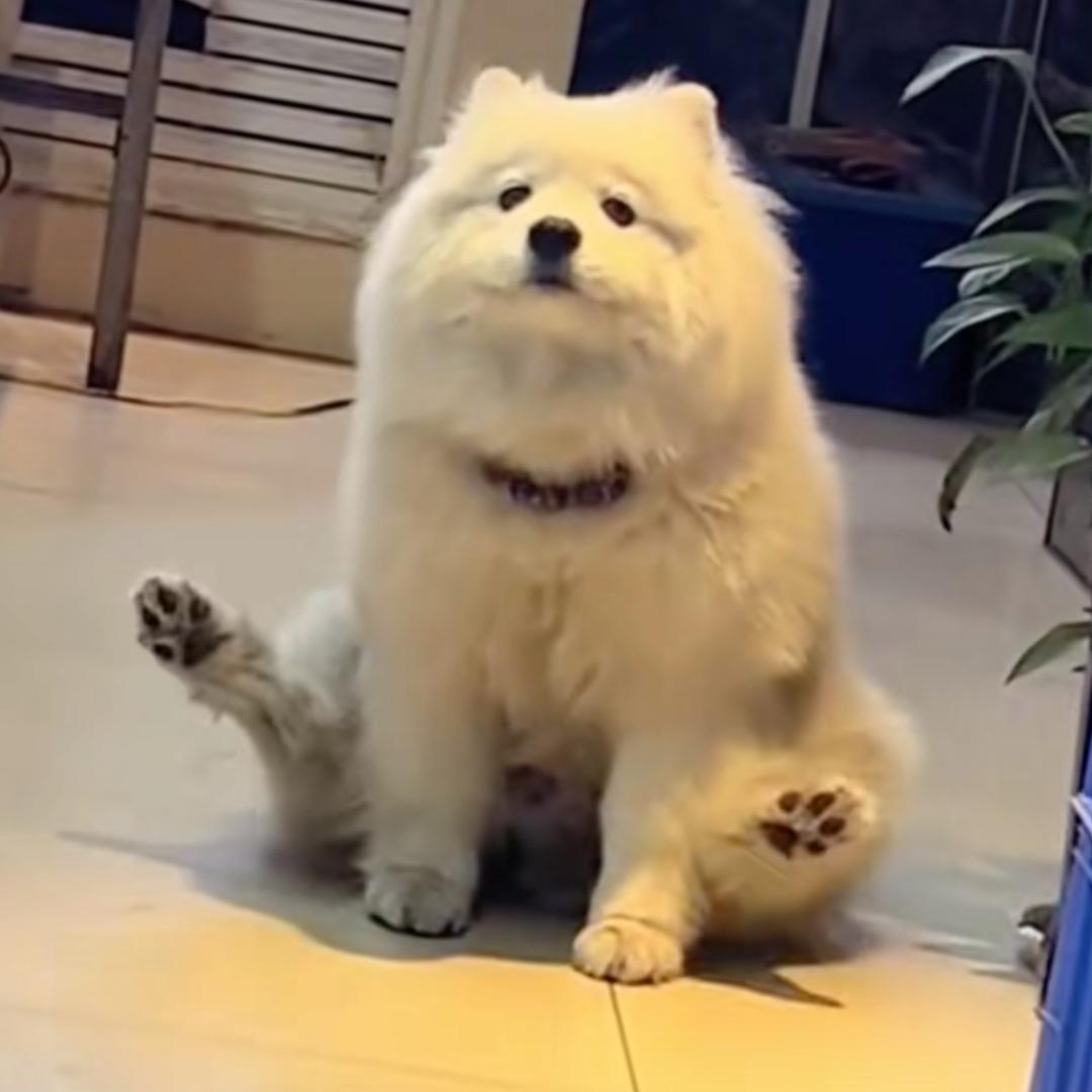 一木。