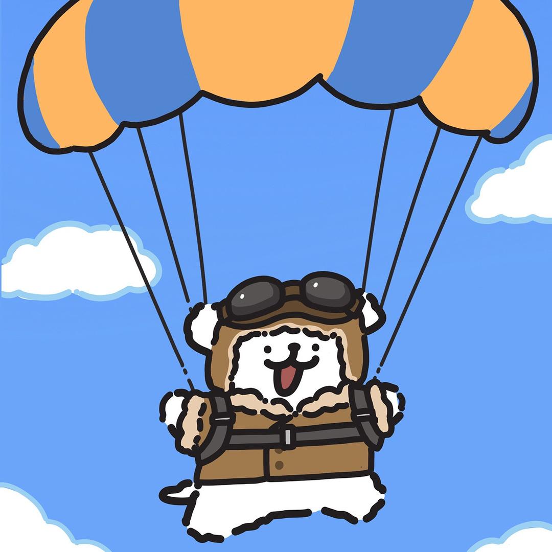 PUPPY户外