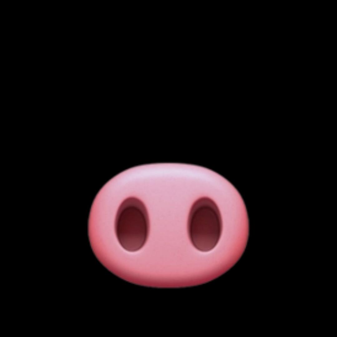 小米（考一建）