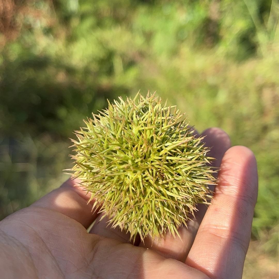 哎，就是玩儿～