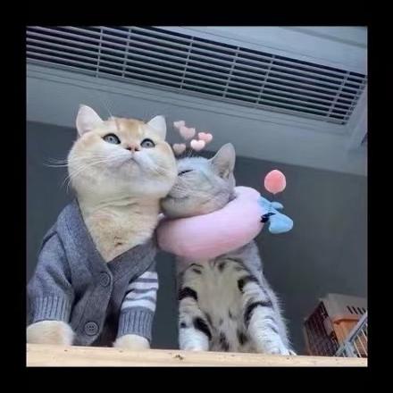 那些年