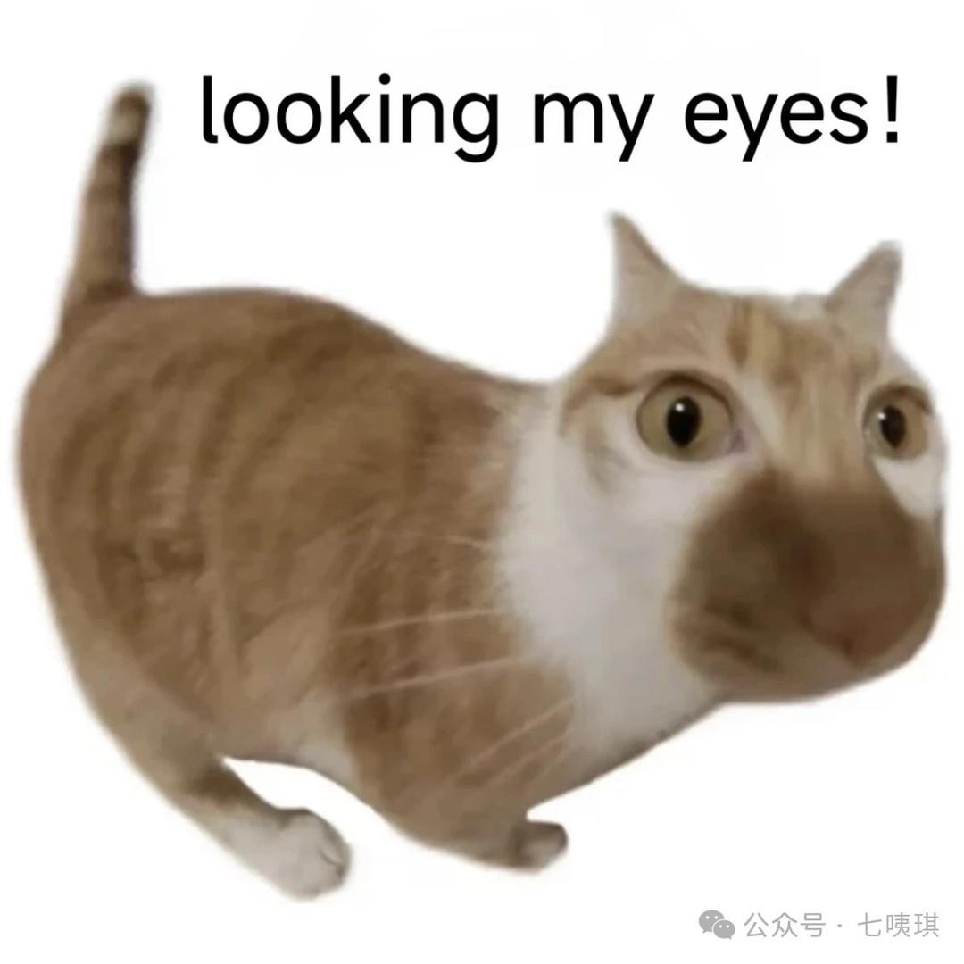橪 呆 呆 .