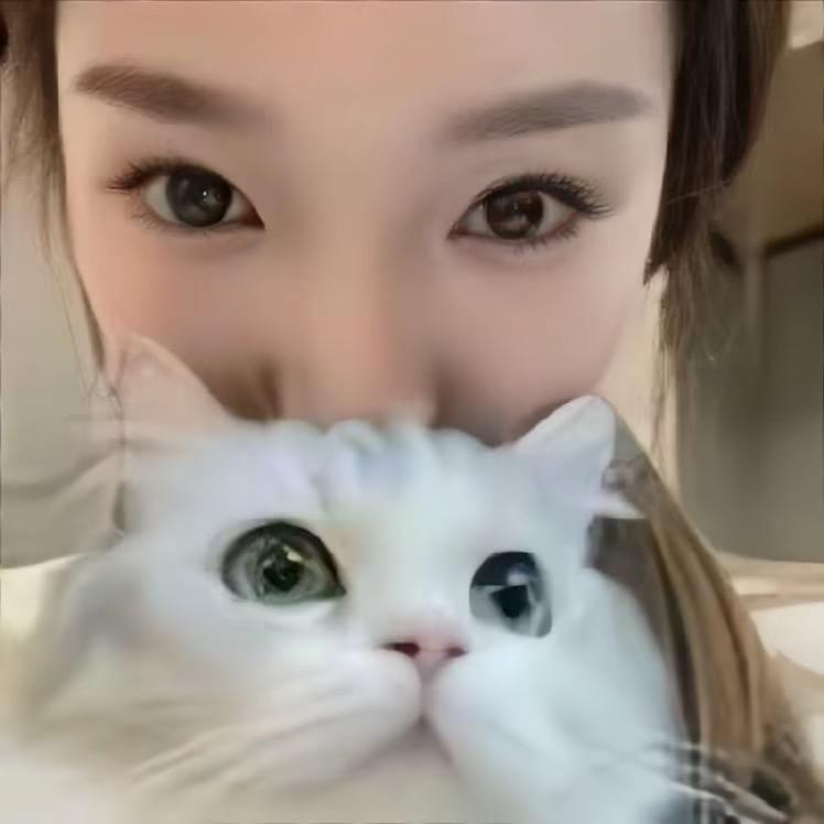 旺碎冰🧠