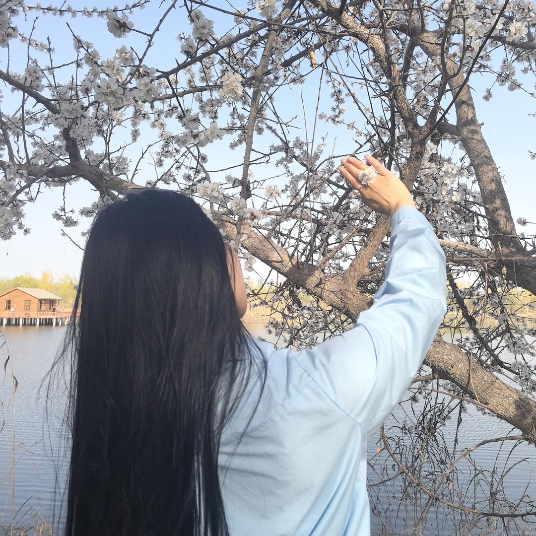 鑫鑫鸿大嘉业江燕