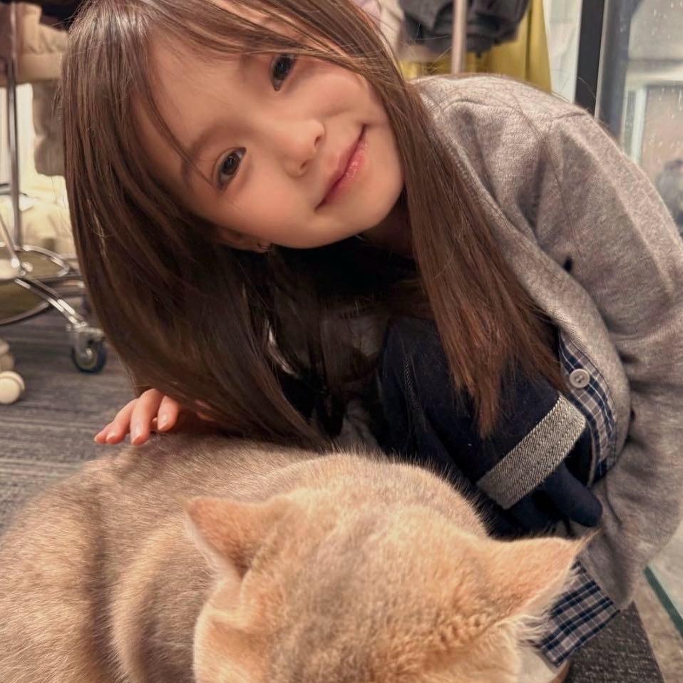 波斯猫