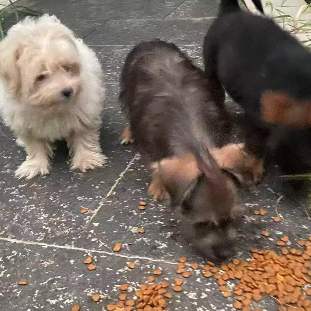 小付👍小付👍一夜暴富