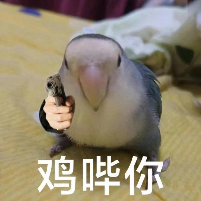 文弱苏生