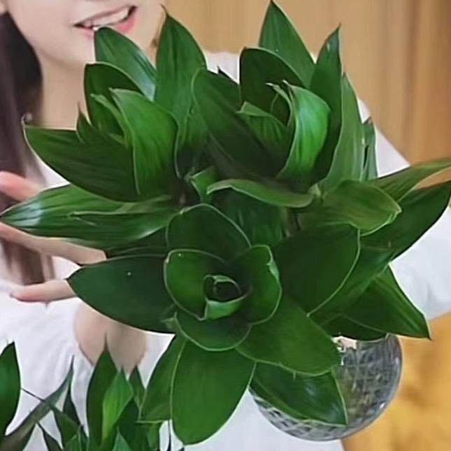 刘姐