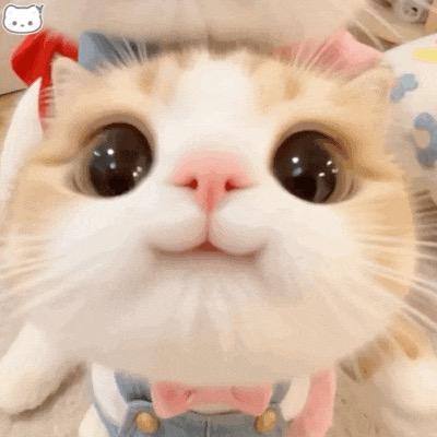 珊珊ss