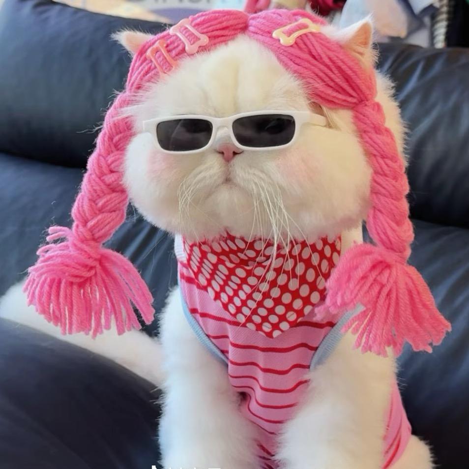 猫耳朵