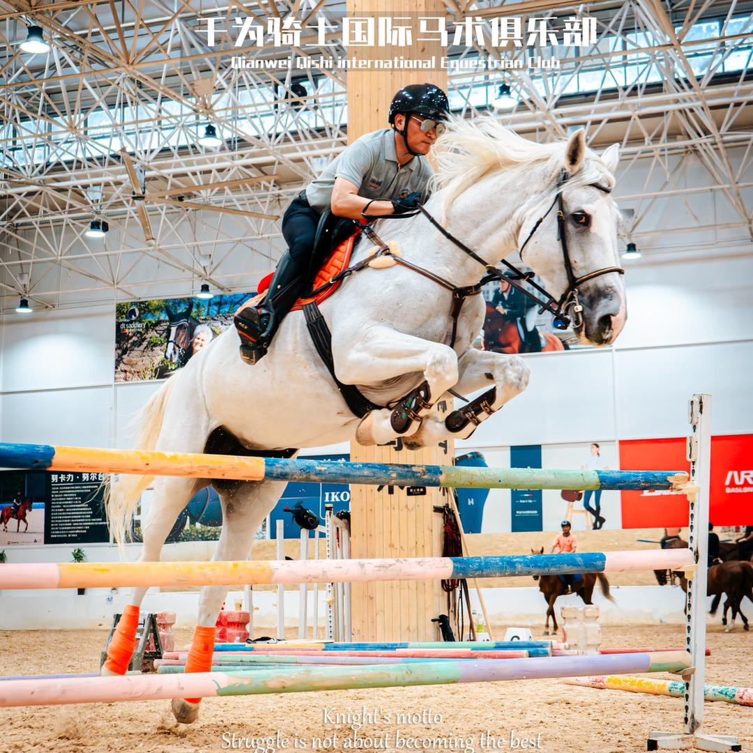 千为骑士国际马术俱乐部